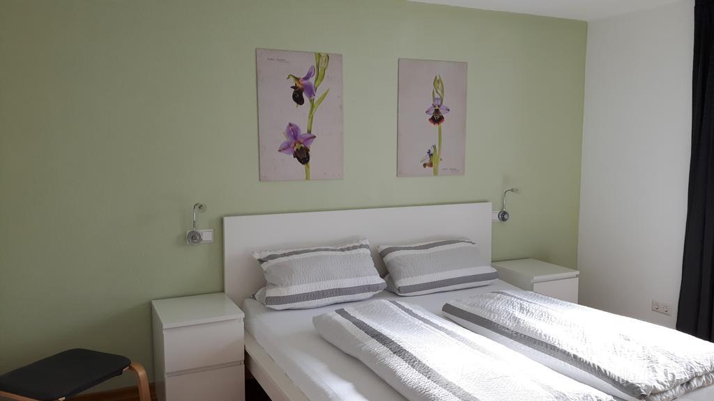 Winzerhof Senn Daire Vogtsburg Dış mekan fotoğraf